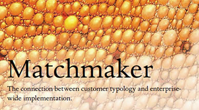 Matchmaker  The connection between customer typology and enterprisewide implementation