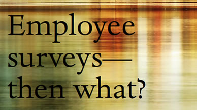 Employee surveys – then what?